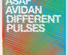 Chronique Asaf Avidan – Different Pulses